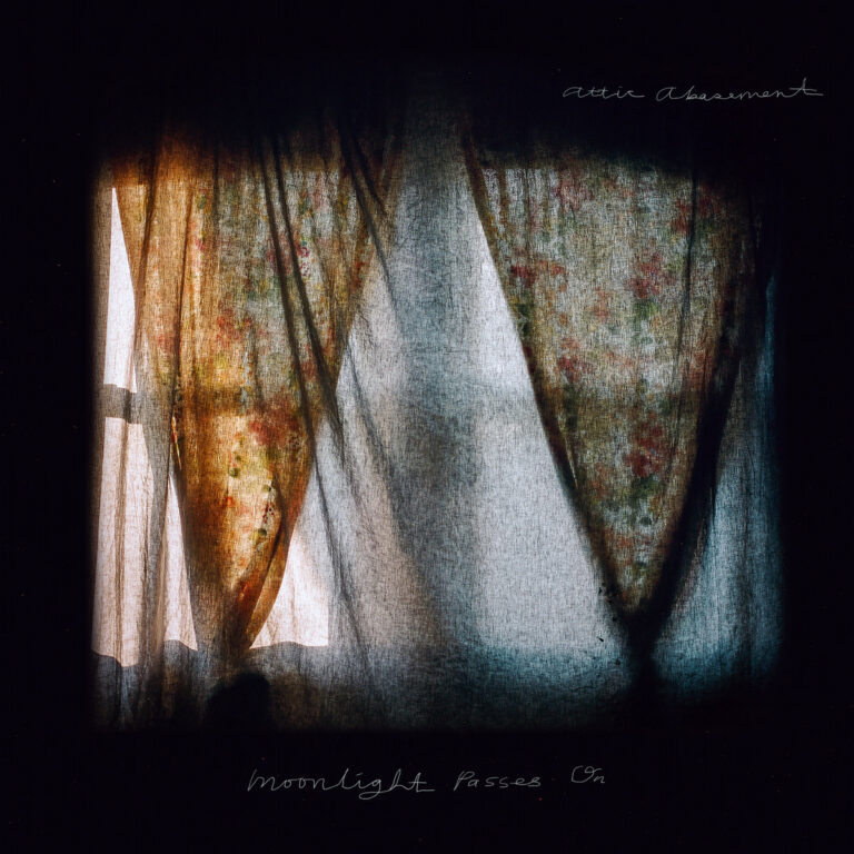 Moonlight Passes On by attic abasement cover art