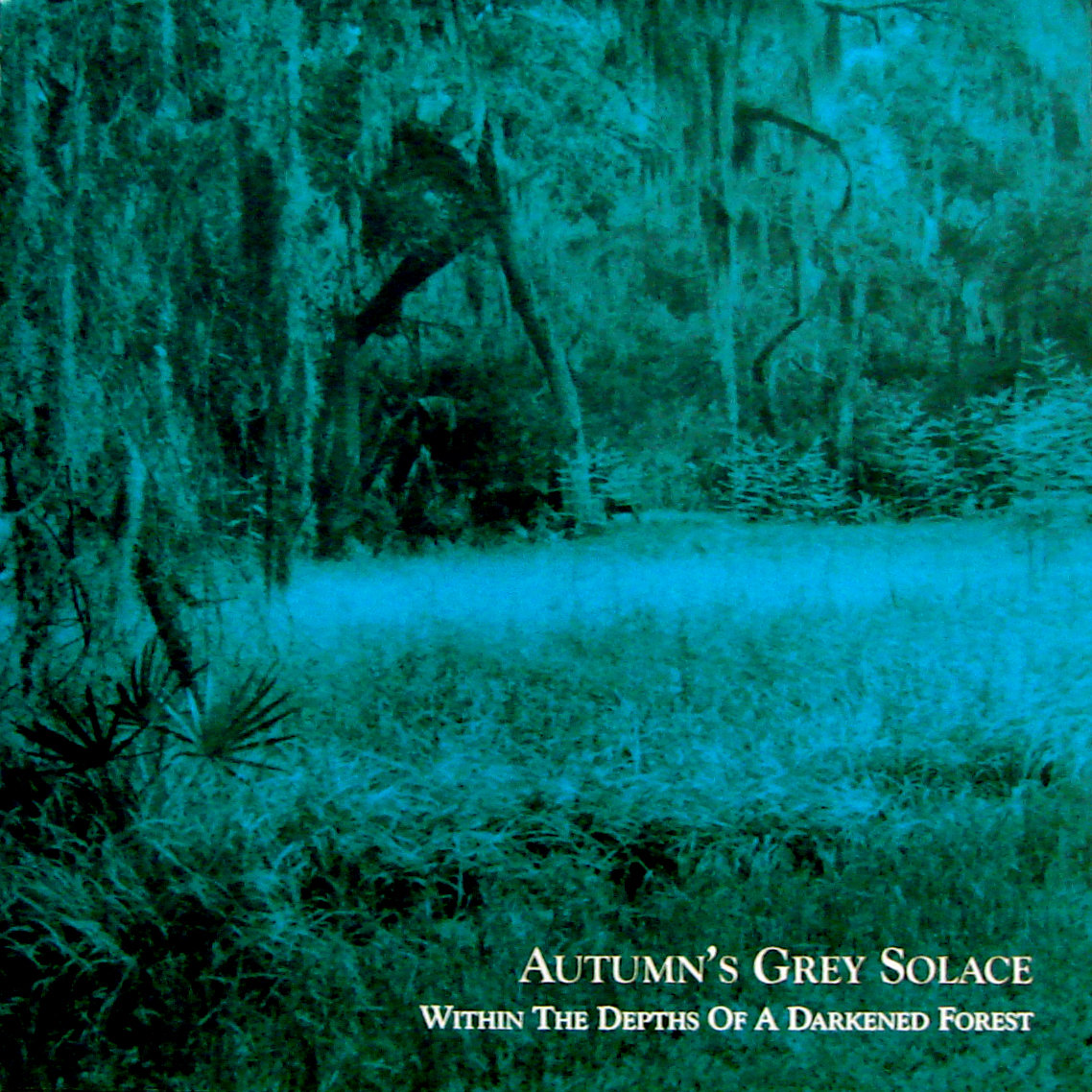 Within The Depths Of A Darkened Forest by Autumn's Grey Solace cover art