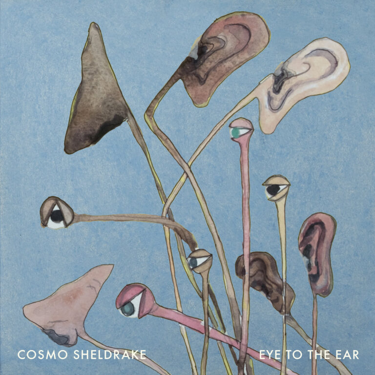Eye To The Ear by Cosmo Sheldrake cover art