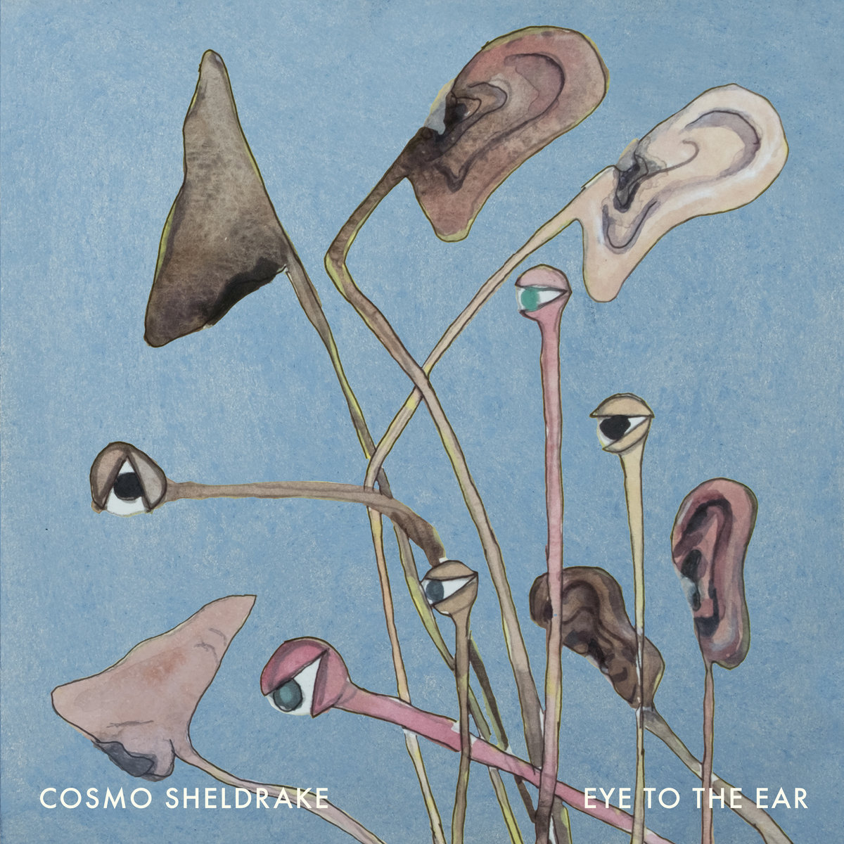 Eye To The Ear by Cosmo Sheldrake cover art