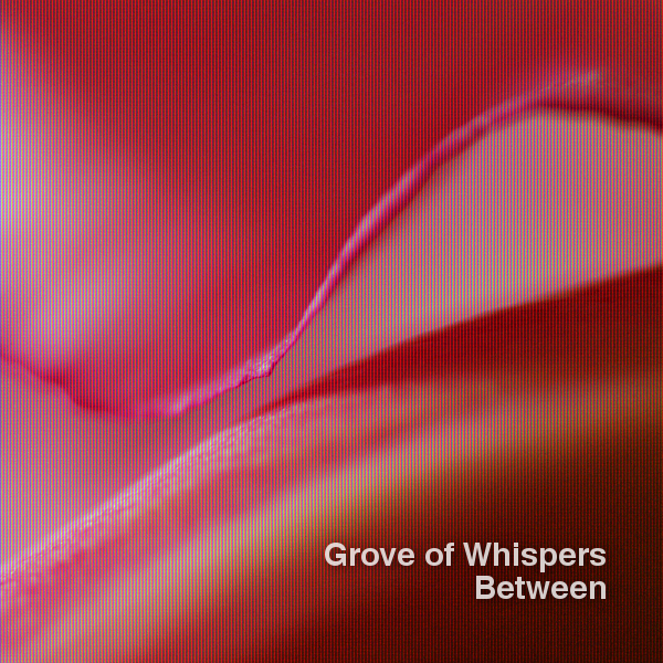 Grove Of Whispers- Between [treetrunk 303] by Grove Of Whispers cover art