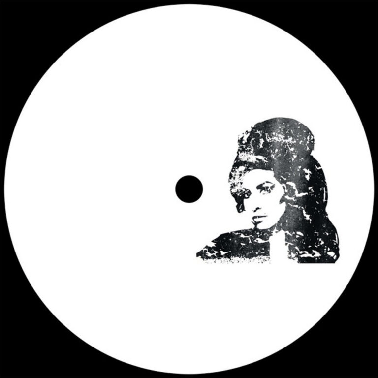 AMY (011) / AMY (012) - (do not buy digital clips) by Hifi Sean - DJ Versions cover art
