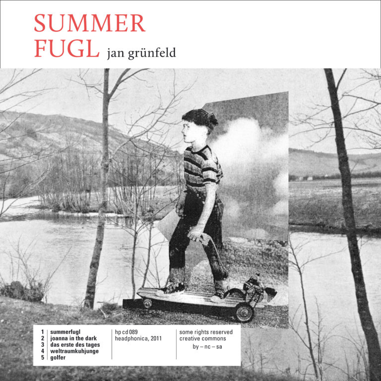 summerfugl by jan gruenfeld cover art