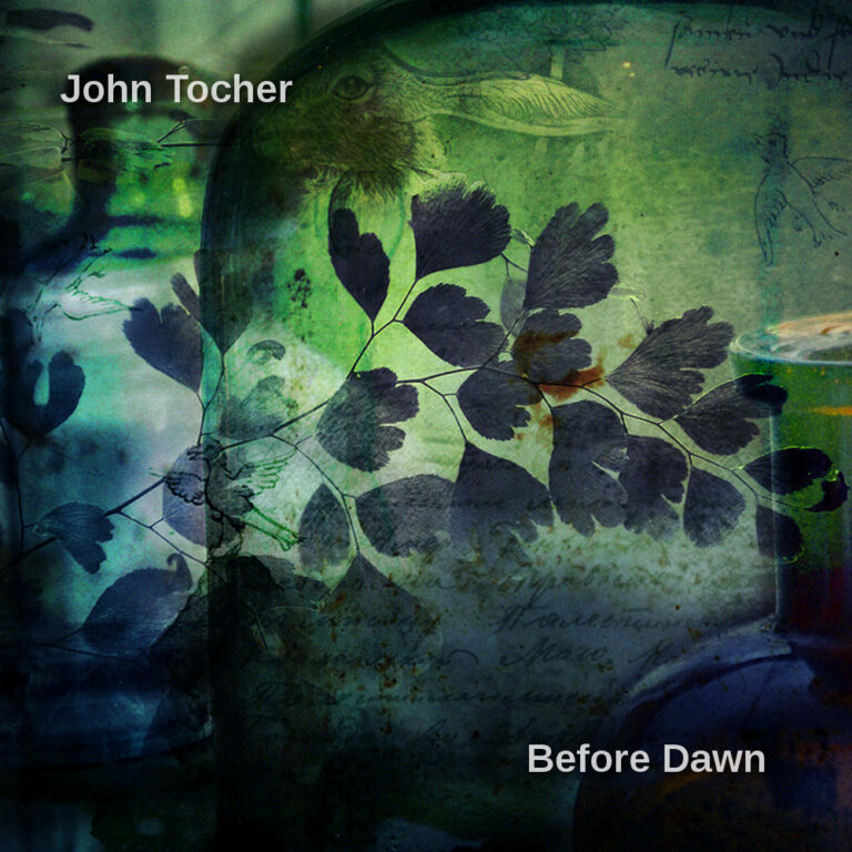 John Tocher- Before Dawn [treetrunk 233] by John Tocher cover art