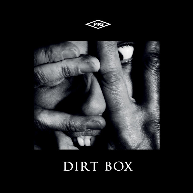 Dirt Box by PIG cover art