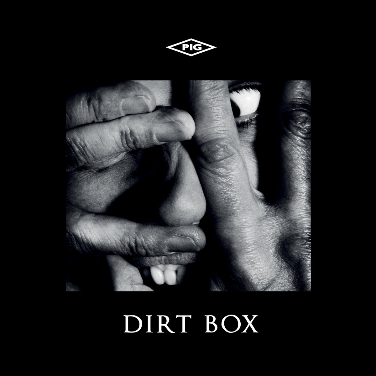 Dirt Box by PIG cover art
