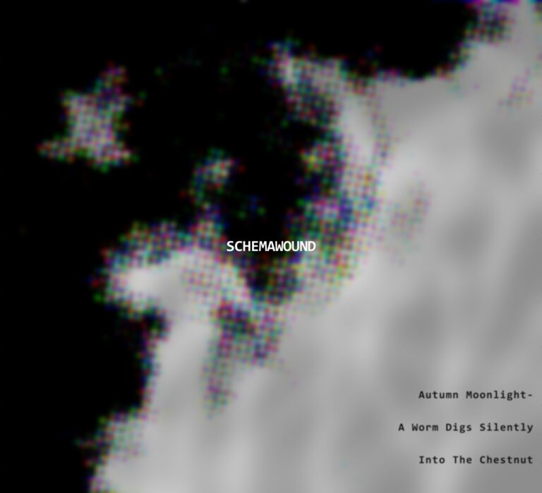 Haiku  07 by Schemawound by Schemawound cover art