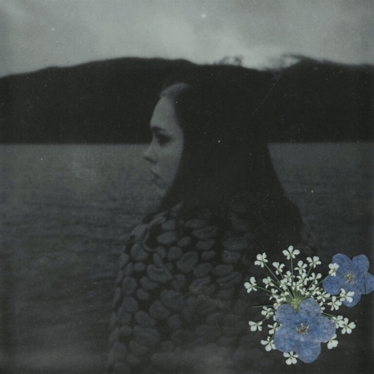 Evergreen by soccer mommy cover art