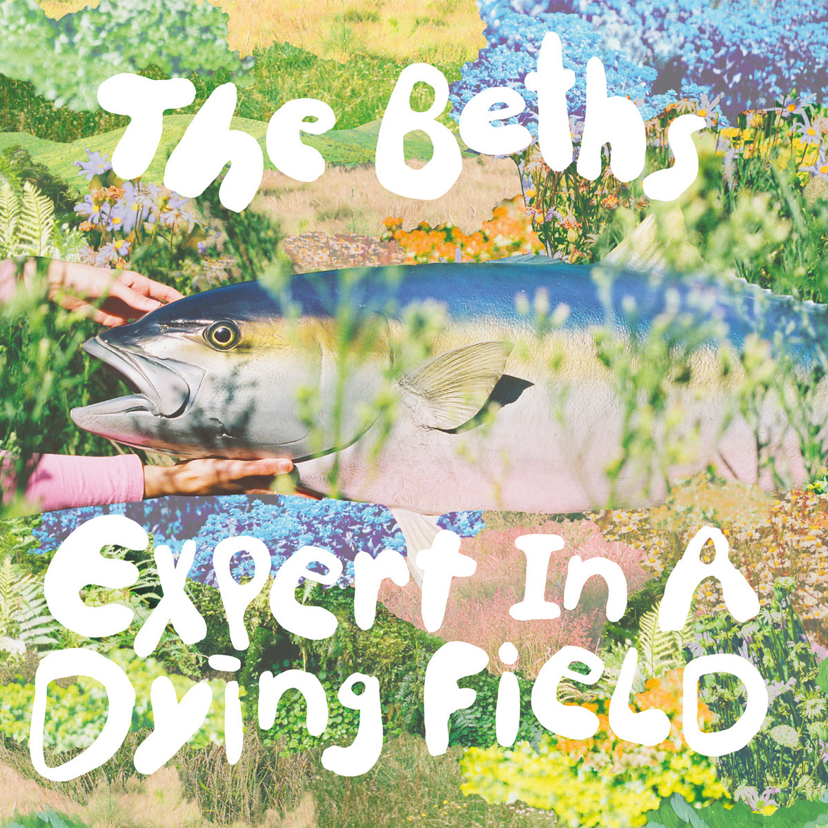 Expert In A Dying Field (Deluxe) by The Beths cover art