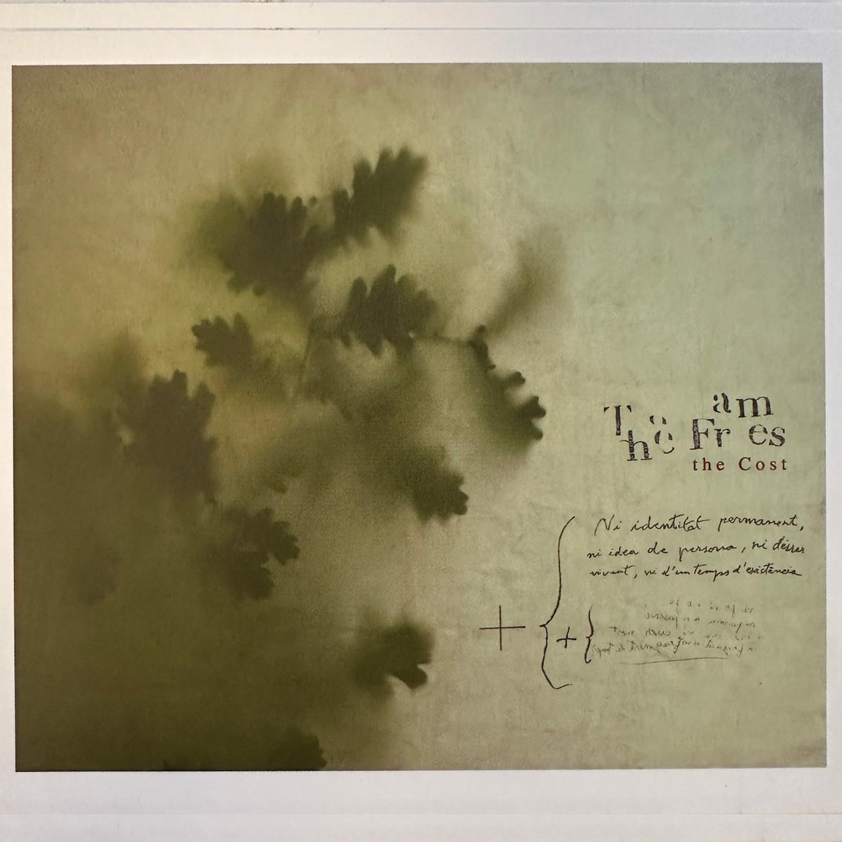 The Cost by The Frames cover art