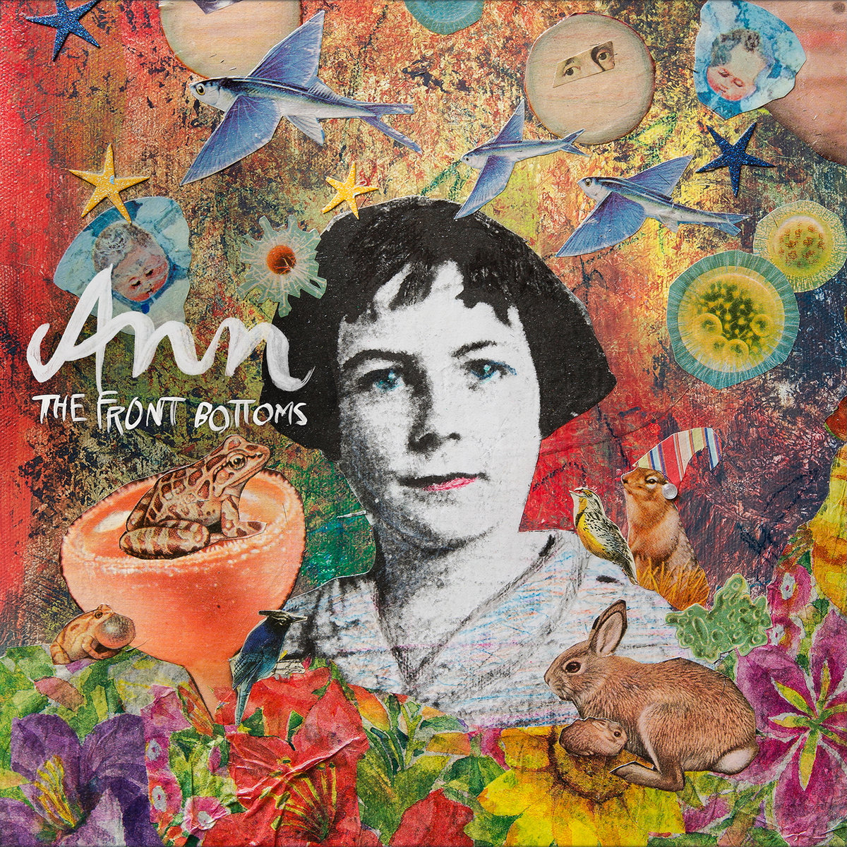 Ann by The Front Bottoms cover art