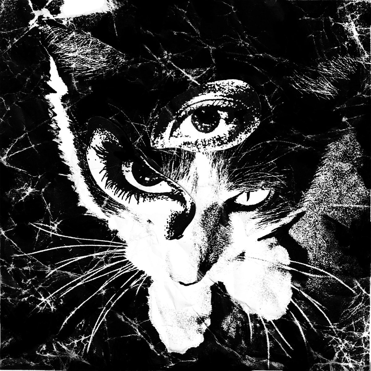 Remains by Tokyo Shoegazer cover art