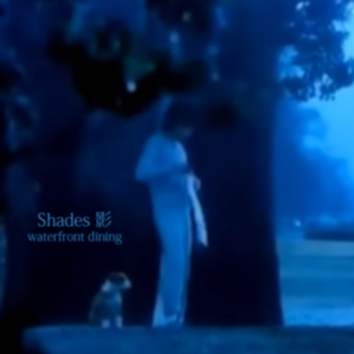 Shades 影 by waterfront dining cover art