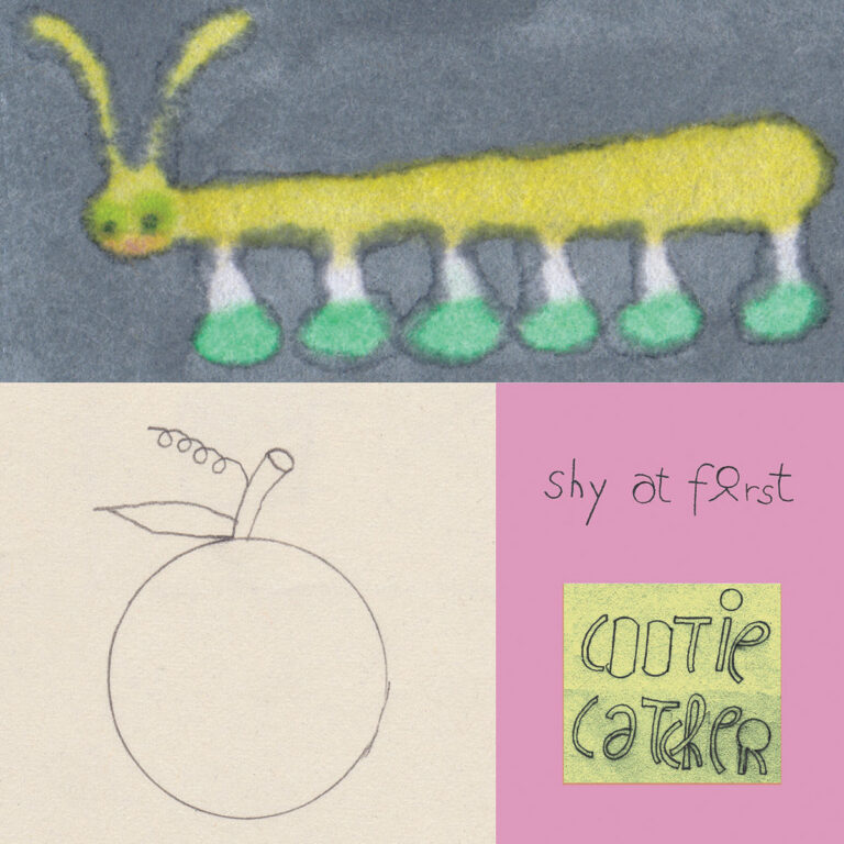 Shy at first by cootie catcher cover art