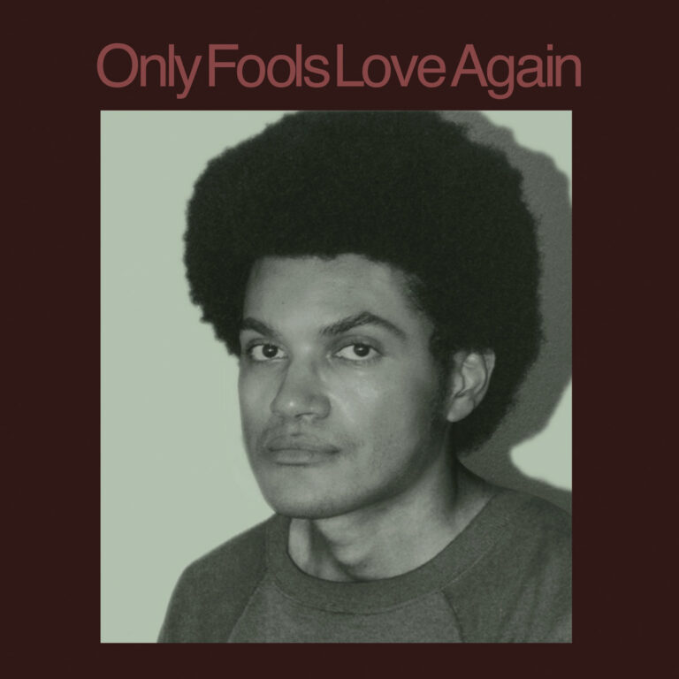 Only Fools Love Again by Danny Ayala cover art