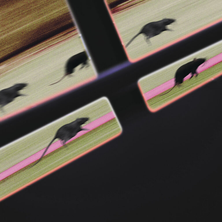 Rat Race by DJ JM cover art