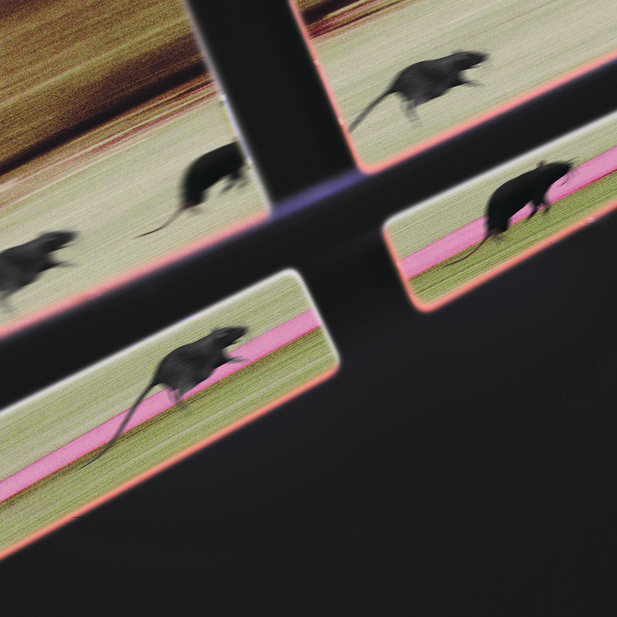 Rat Race by DJ JM cover art