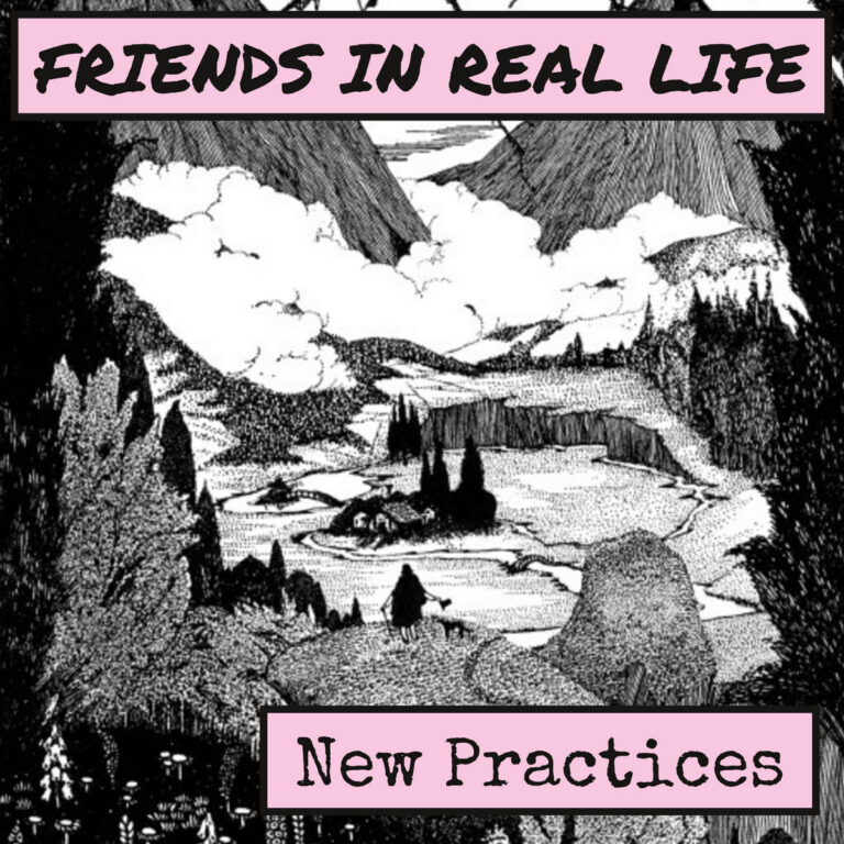 New Practices by Friends In Real Life cover art