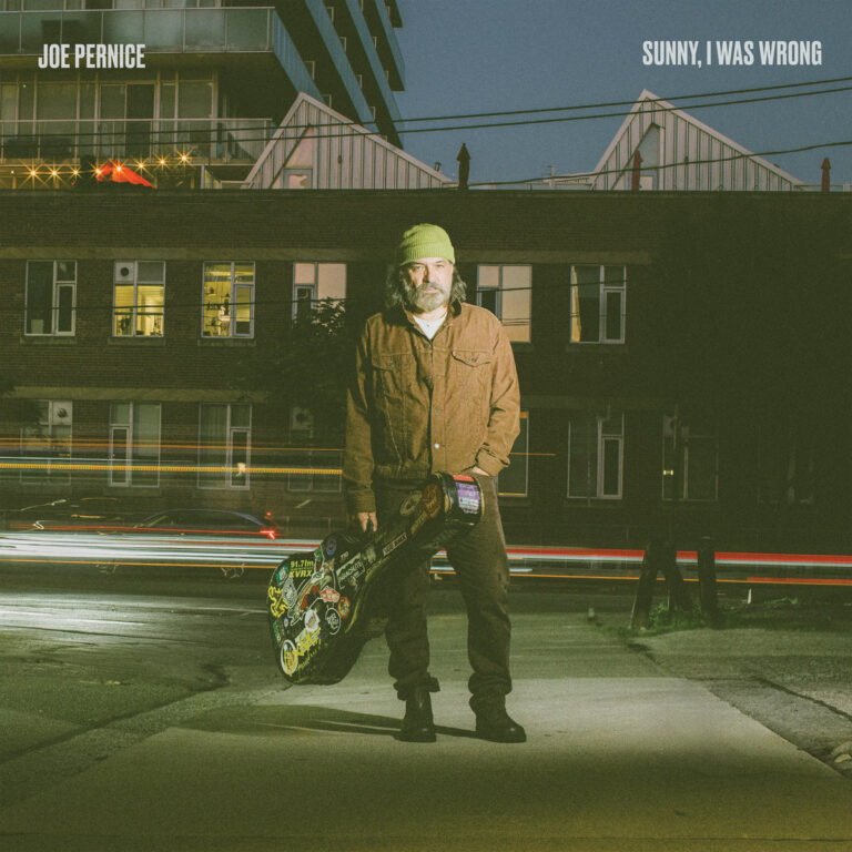 Sunny, I Was Wrong by Joe Pernice cover art