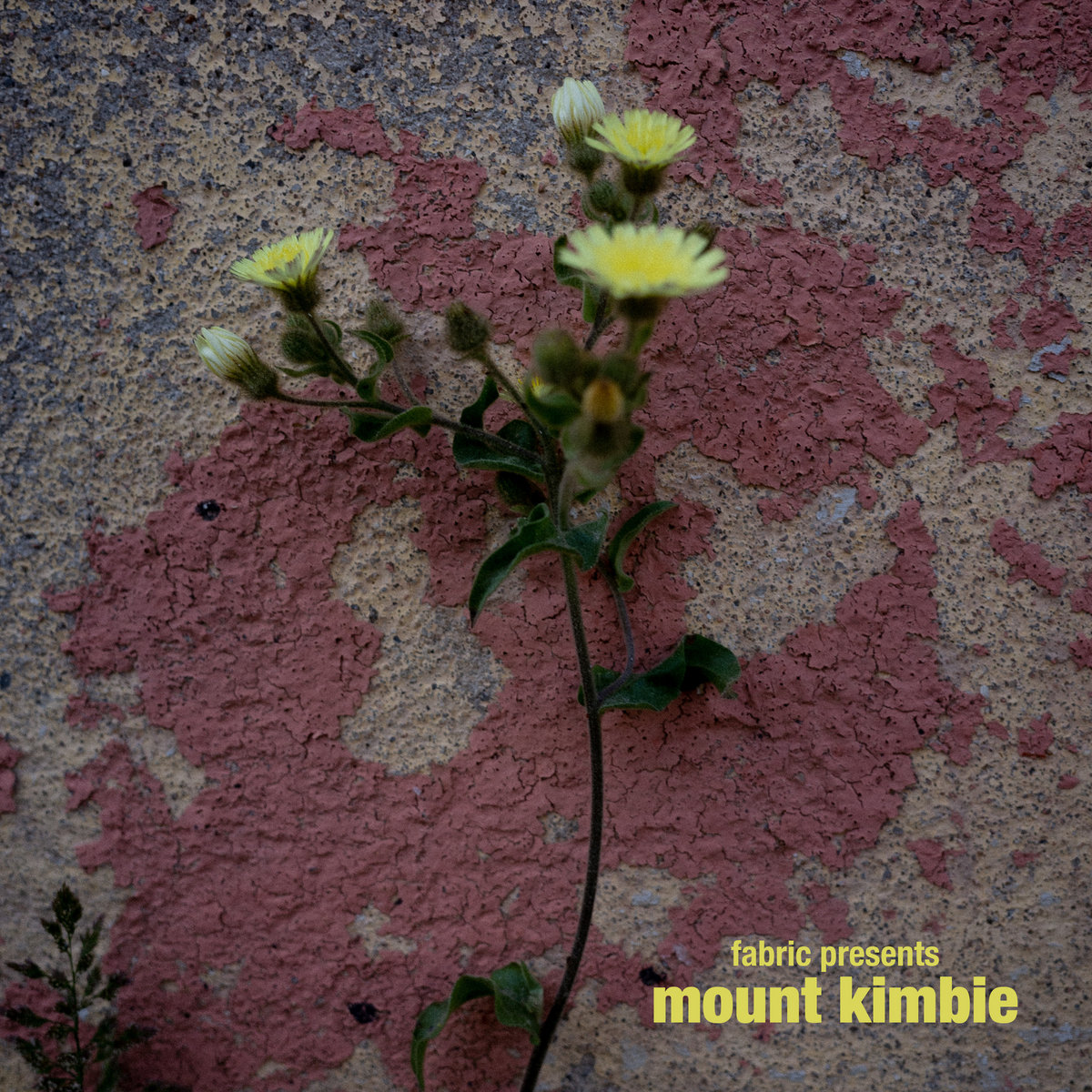 fabric presents Mount Kimbie by Mount Kimbie cover art