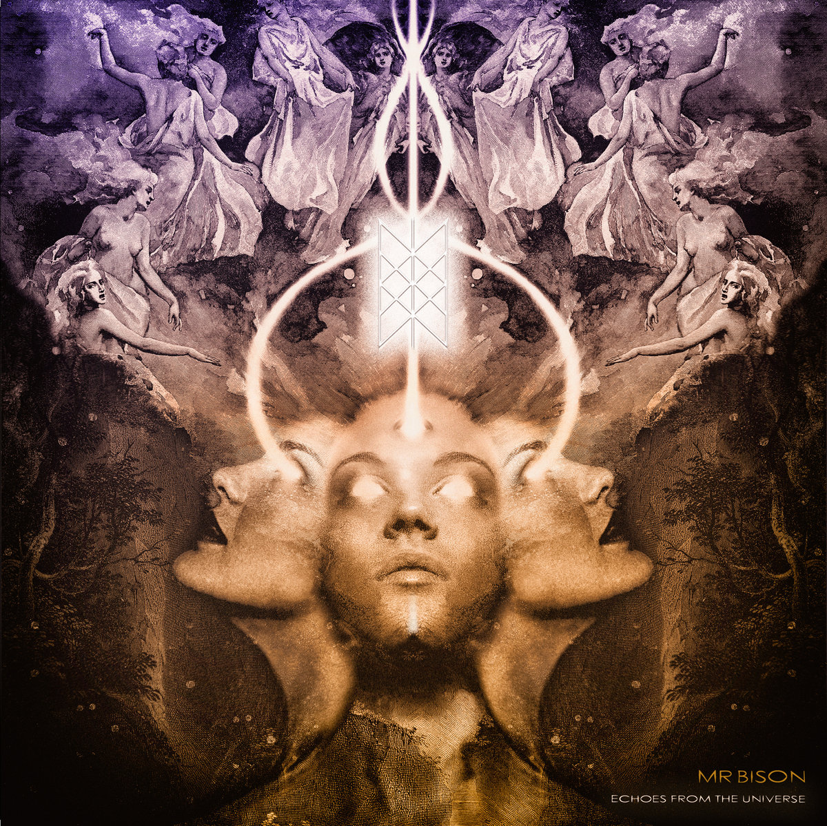 Echoes From The Universe by Mr BISON cover art