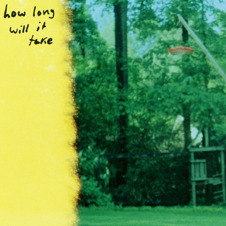 How Long Will It Take by orchid mantis cover art