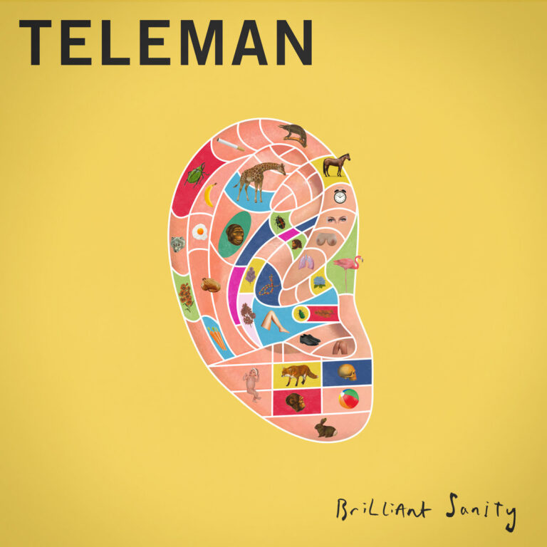 Brilliant Sanity by Teleman cover art