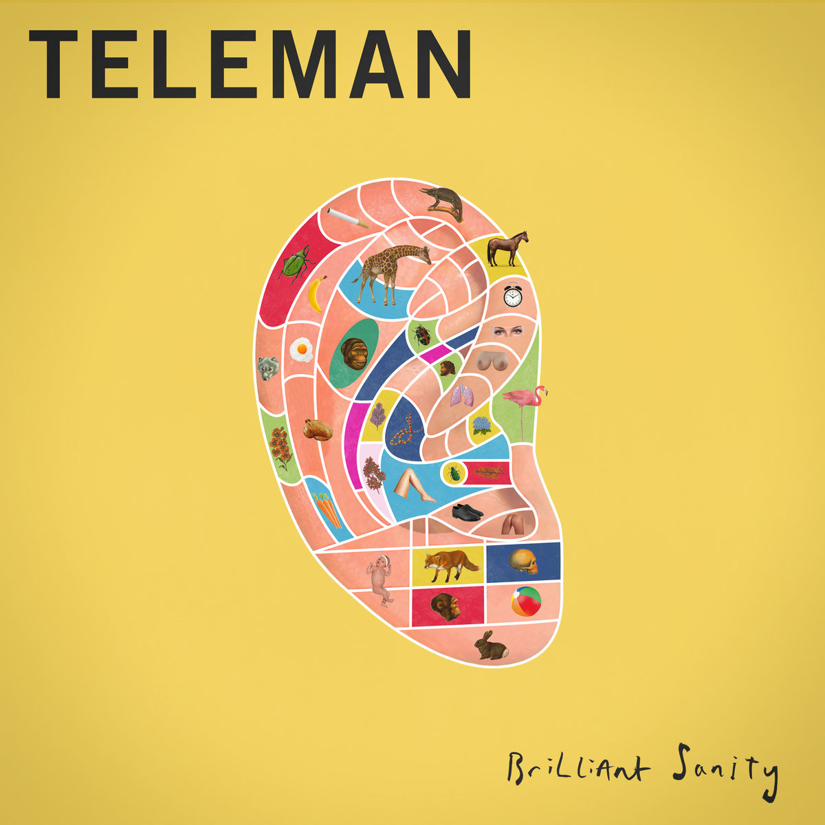 Brilliant Sanity by Teleman cover art
