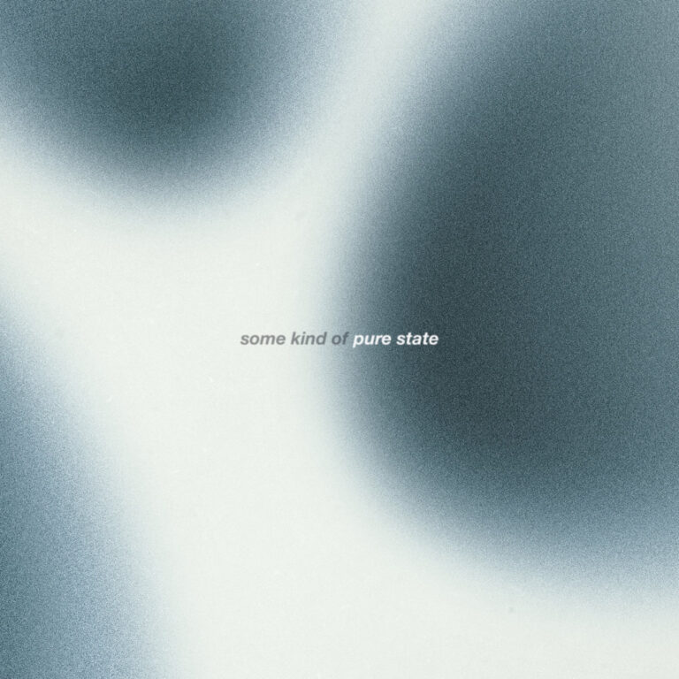 Some Kind Of Pure State by The Dharma Chain cover art